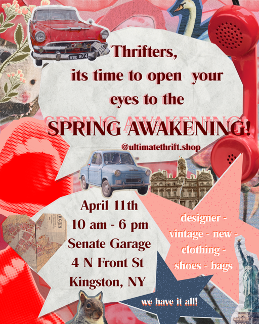 Ultimate Thrift Shop Senate Garage
